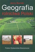 Książka : Geografia ... - Jerzy Bański