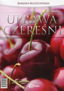 Picture of Uprawa czereśni