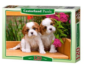 Picture of 120x PUZZLE KARTONOWE DWA PIESKI WIEK 5+
