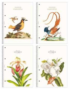 Obrazek Kołozeszyt A4/80K kratka Paradise ASTRA