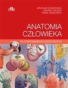 Polska książka : Anatomia c... - J. Domaradzki, P. Gawłowski, A. Zaleski
