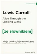 polish book : Alice Thro... - Lewis Carroll