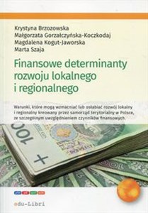 Obrazek Finansowe determinanty rozwoju lokalnego i regionalnego
