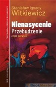 Nienasycen... - Stanisław Ignacy Witkiewicz -  books in polish 
