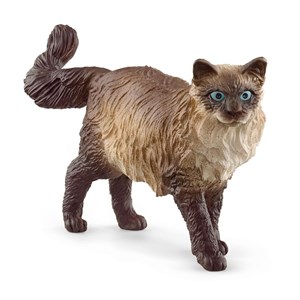 Obrazek Kot ragdoll SLH13940