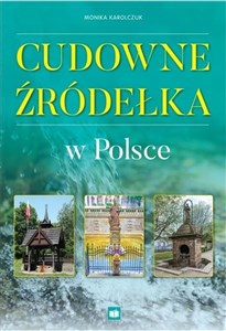 Picture of Cudowne źródełka w Polsce