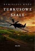 polish book : Turkusowe ... - Remigiusz Mróz