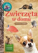 Młody Obse... - Izabela Brańska-Oleksy -  Polish Bookstore 