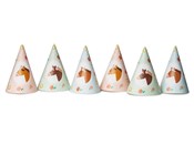 polish book : Czapeczki ...