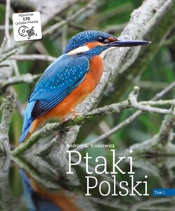 Obrazek Ptaki Polski. Tom 1