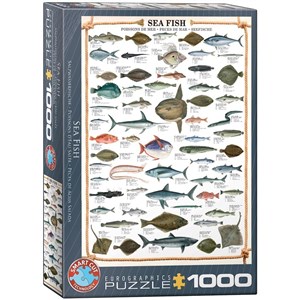 Picture of Puzzle 1000 Morskie ryby