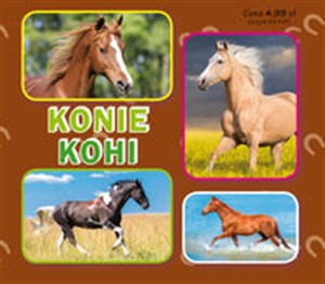 Picture of Konie. Коні Harmonijka mała