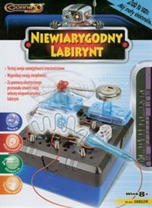 Obrazek Niewiarygodny labirynt