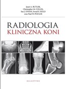 Zobacz : Radiologia...