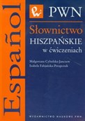 Słownictwo... - Małgorzata Cybulska-Janczew, Izabela Fabjańska-Potapczuk -  books in polish 