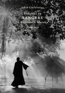 Obrazek Ucieczka do Tangeru. W Królestwie Maroka. Powieść drogi