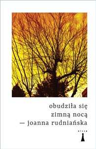 Picture of Obudziłą się zimną nocą