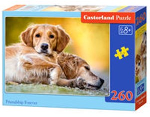 Obrazek Puzzle Friendship Forever 260