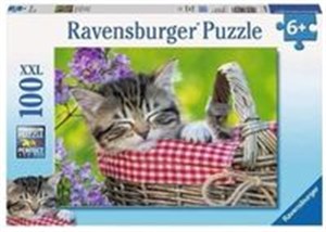 Obrazek Puzzle 100 XXL Śpiące kociaki