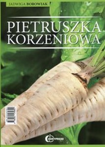 Obrazek Pietruszka korzeniowa