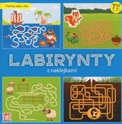 Polska książka : Labirynty ... - Opracowanie Zbiorowe