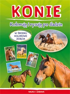 Picture of Konie Koloruję i rysuję po śladzie