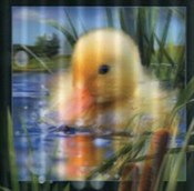 polish book : Pocztówka ...