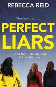 Picture of Perfect Liars