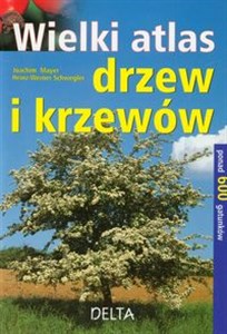 Picture of Wielki atlas drzew i krzewów