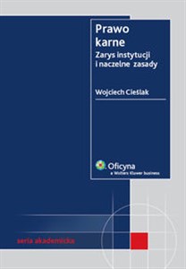 Picture of Prawo karne Zarys instytucji i naczelne zasady