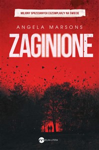 Picture of Zaginione