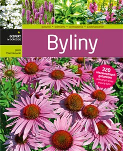 Picture of Byliny