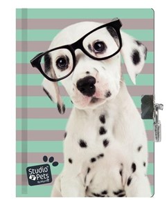 Obrazek Pamiętnik z kłódką Studio Pets
