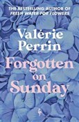 Forgotten ... - Valerie Perrin -  books from Poland