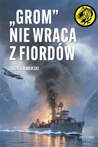 Picture of &#34,Grom&#34, nie wraca z fiordów