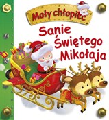 Sanie Świę... - Emilie Beaumont, Nathalie Belineau -  foreign books in polish 