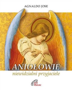 Picture of Aniołowie, niewidzialni przyjaciele
