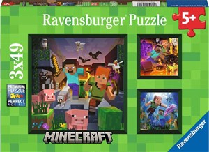 Picture of Puzzle 2D 3x49 Minecraft 5621