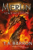 polish book : Merlin Ksi... - T.A. Barron