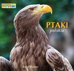 Picture of Ptaki polskie Poznajemy zwierzęta