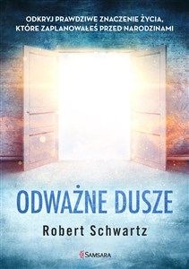 Obrazek Odważne dusze Odkryj prawdziwe znaczenie życia, które zaplanowałeś przed narodzinami