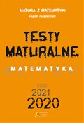 Testy Matu... - Dorota Masłowska, Tomasz Masłowski, Piotr Nodzyński, Elżbieta Słomińska, Alicja Strzelczyk -  books in polish 