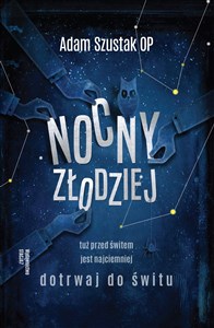 Picture of Nocny Złodziej