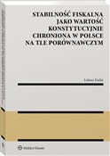 Stabilność... - Łukasz Kielin -  foreign books in polish 
