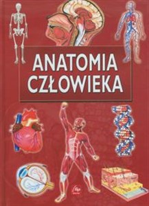Obrazek Anatomia człowieka Ilustrowana encyklopedia