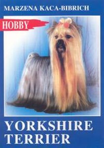 Picture of Yorkshire terrier