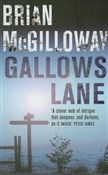 polish book : Gallows La... - Brian McGilloway
