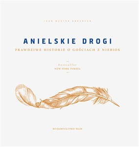 Obrazek Anielskie drogi Prawdziwe historie o gościach z niebios