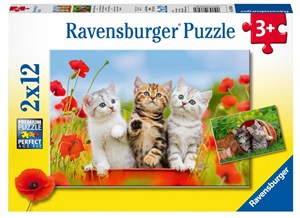 Picture of Puzzle 2x12 Koty przygoda
