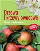 Drzewa i k... - Herbert Bischof -  Książka z wysyłką do UK